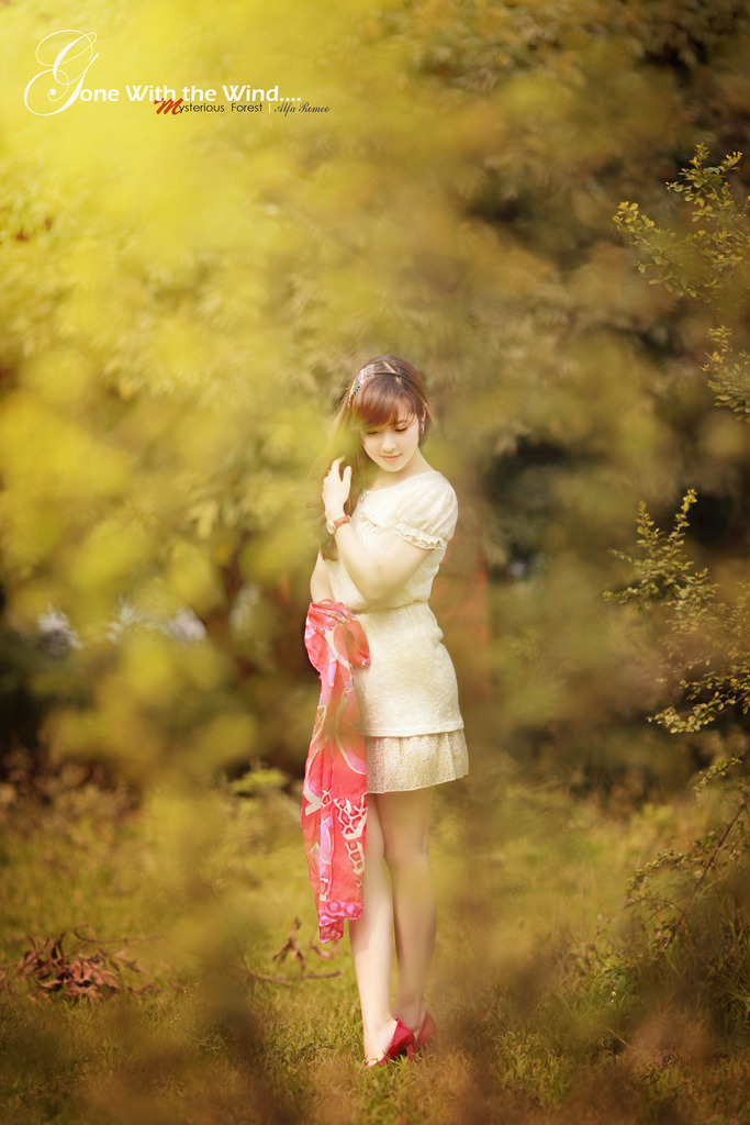 杨力蕲